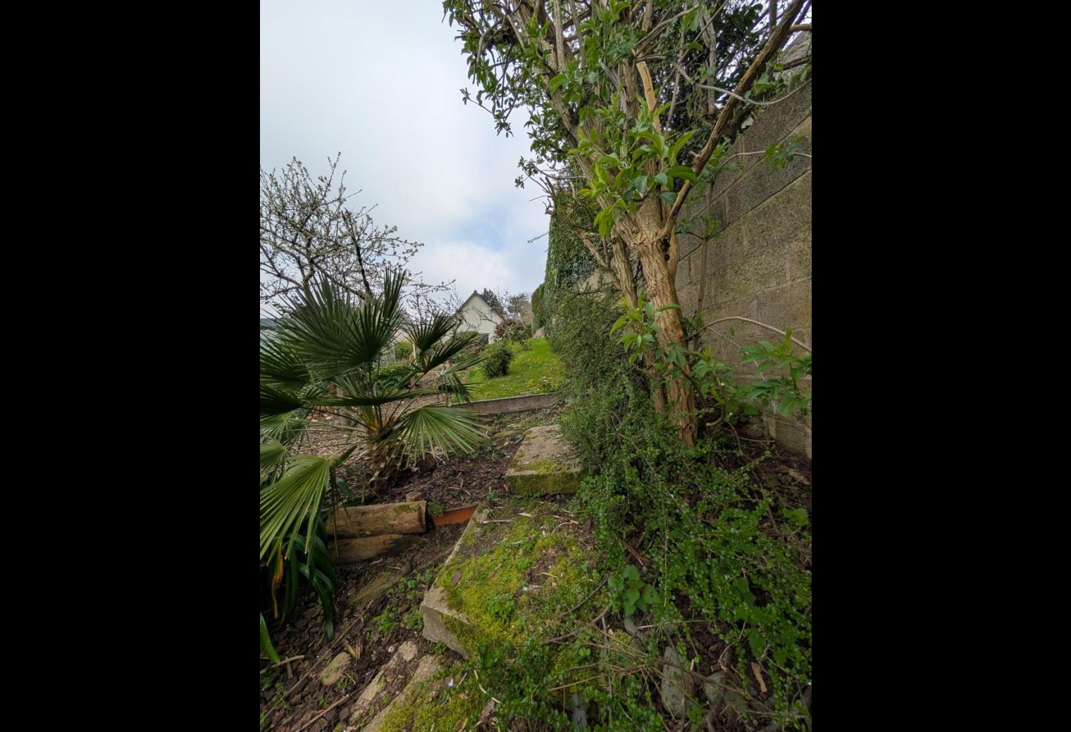 c6689c8c-59bc-44a3-8fd3-73b9fae7752f.jpg