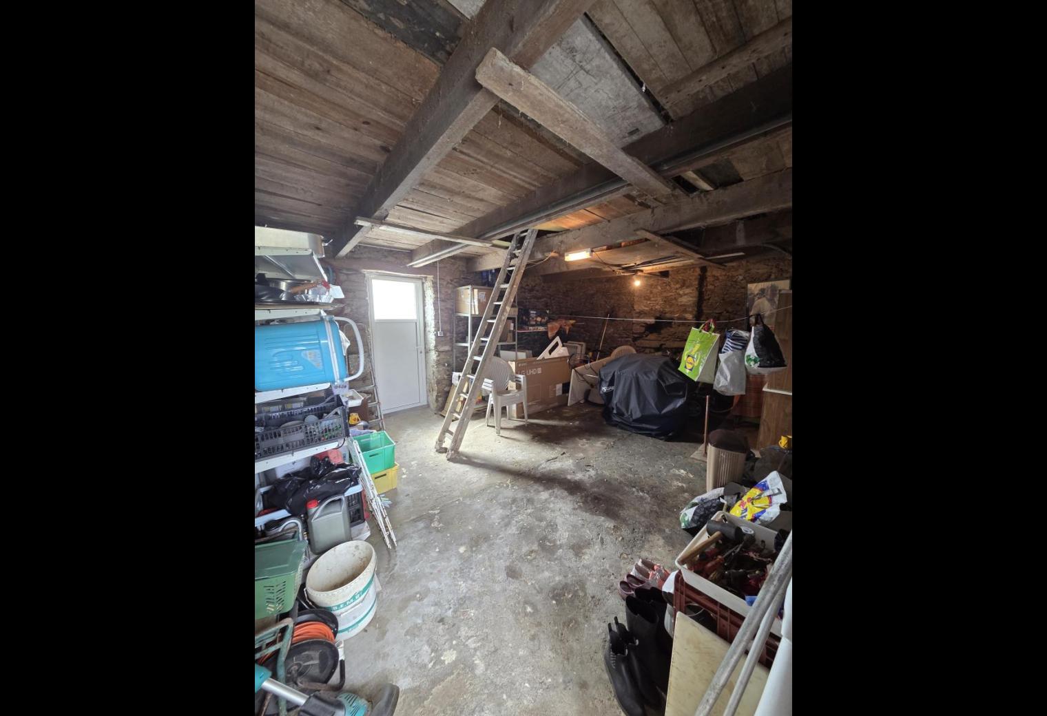 2583168f-a447-4545-911b-f1ef8efbb596.jpg