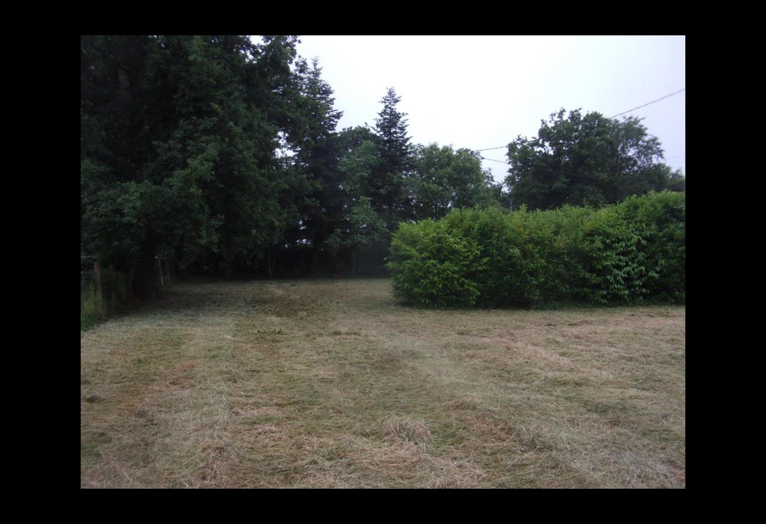 d3d7469f-e3f9-4b8b-be56-78a1a191685b.jpg