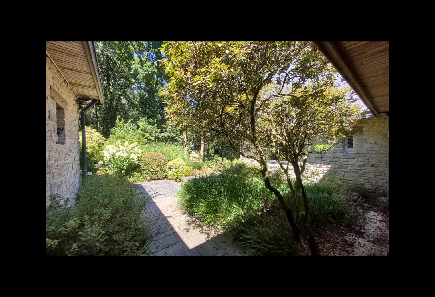 59d1cf67-a30e-447d-83c3-71e5ac1bd494.jpg