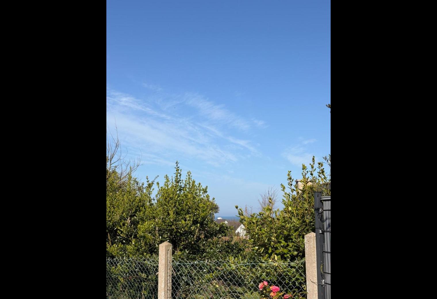 947ff7ca-6b81-409f-bee3-679664513df7.jpg