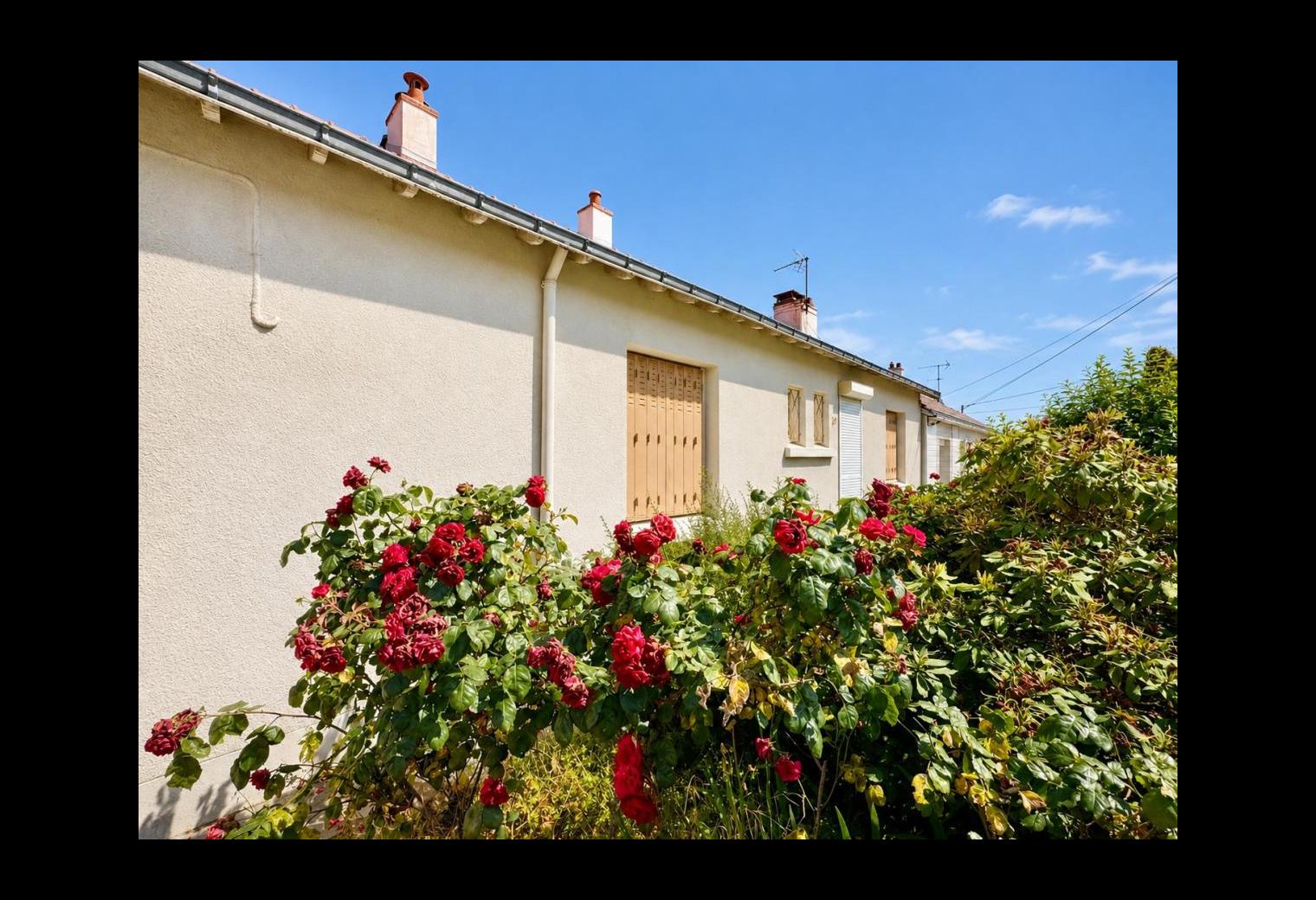 dfb91ea1-0848-460e-8761-ebaf84adeba1.jpg