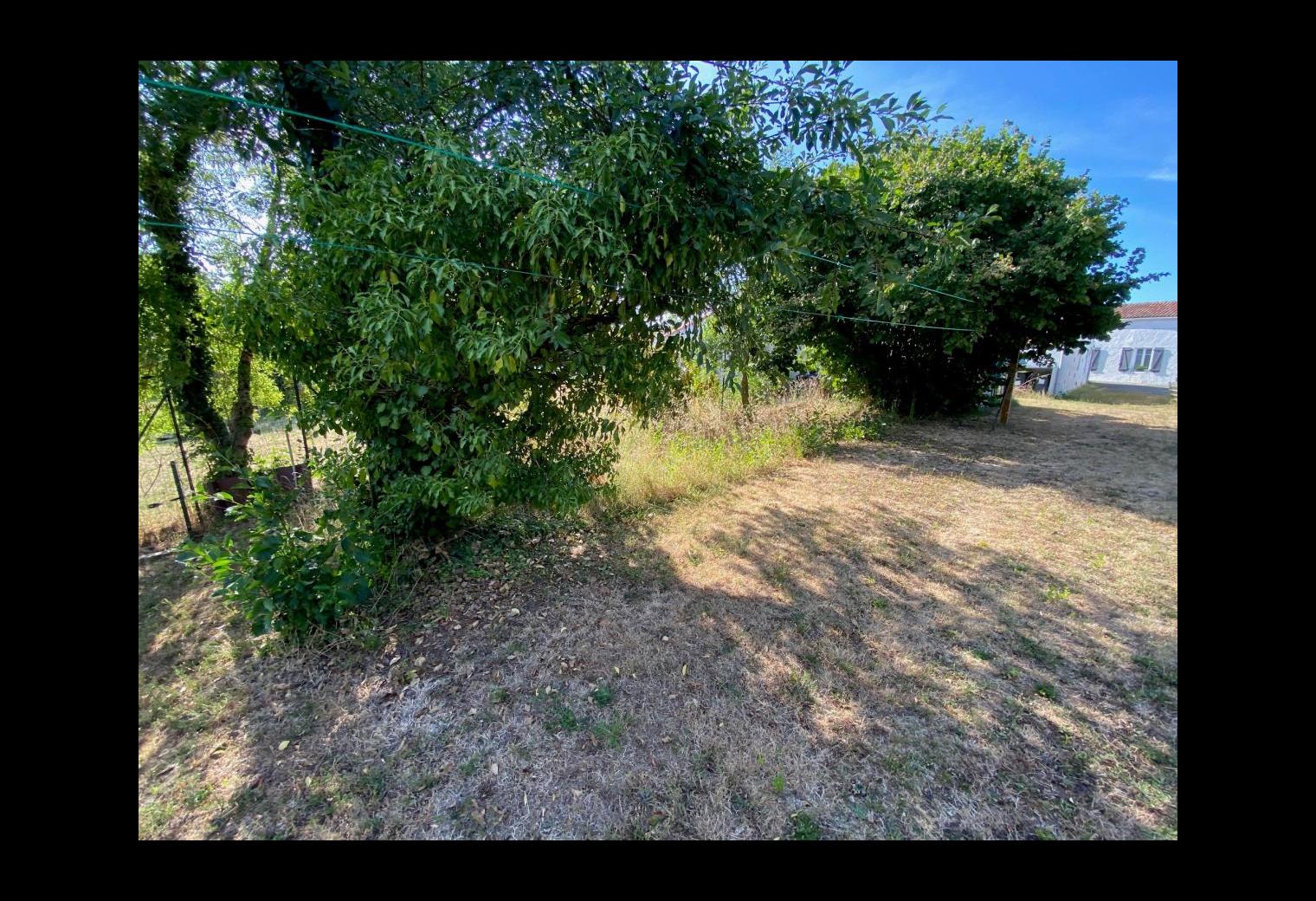 f8378a01-90fd-4d95-8759-b2d2aa17faae.jpg