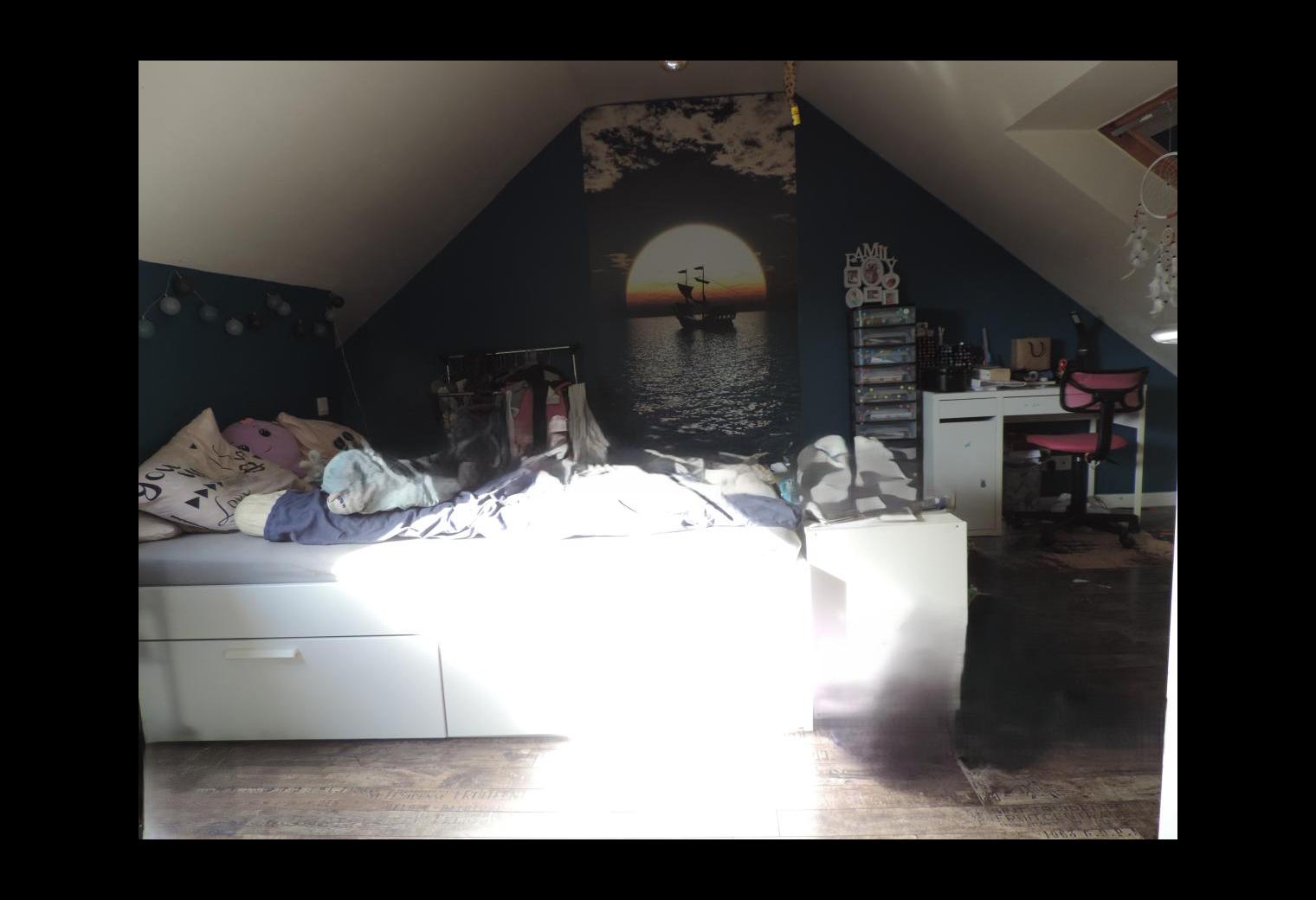 7ff2e7e4-43e2-408f-b7bf-af7912ebddca.jpg