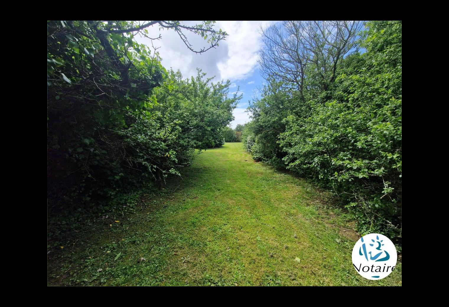 6e630496-6b19-4023-8aed-cc8872923af6.jpg