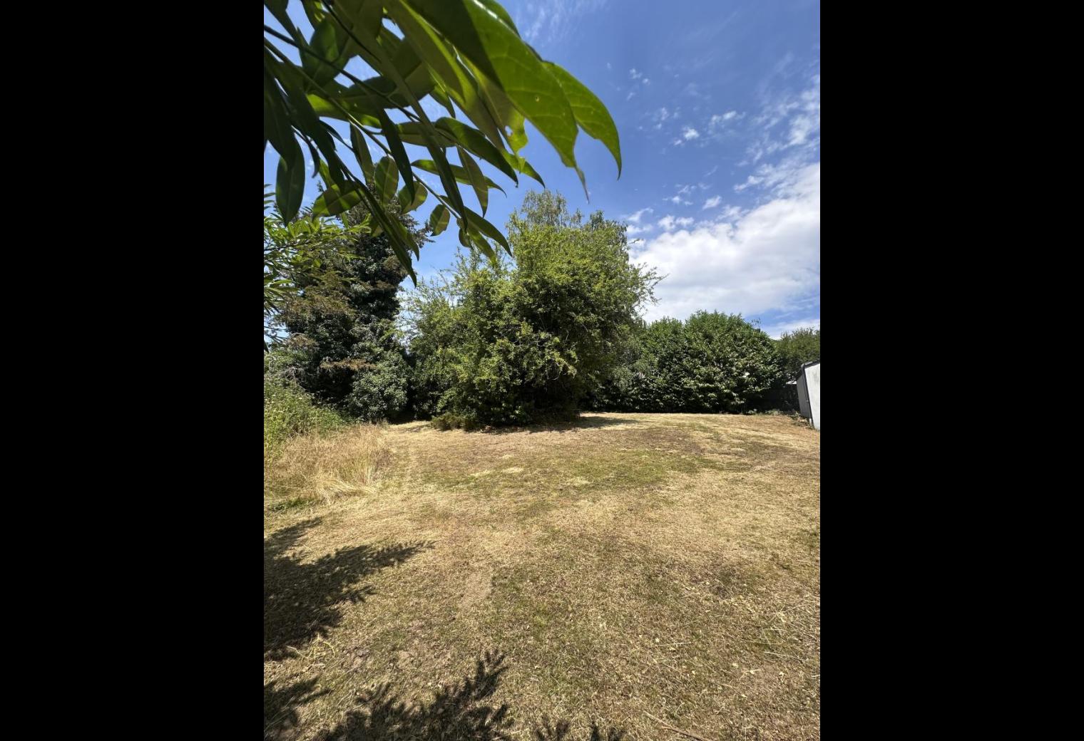ecdfe130-ef9e-4ba2-b684-3449f67696b0.jpg
