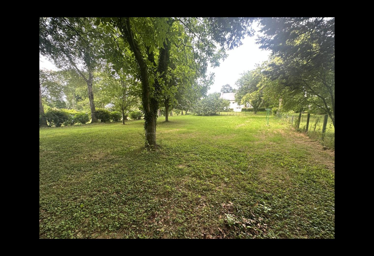 e84c9499-0b45-482f-9ae8-b518ee7d7f54.jpg
