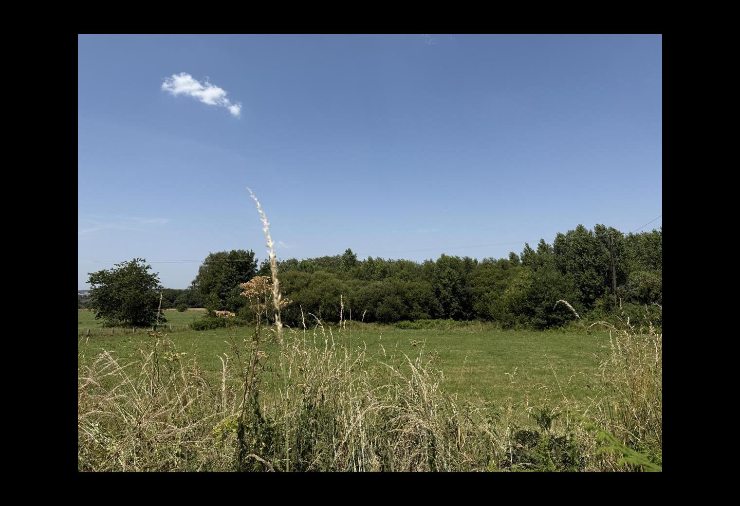 7730445f-39d9-4005-8be3-05bb25100dc2.jpg