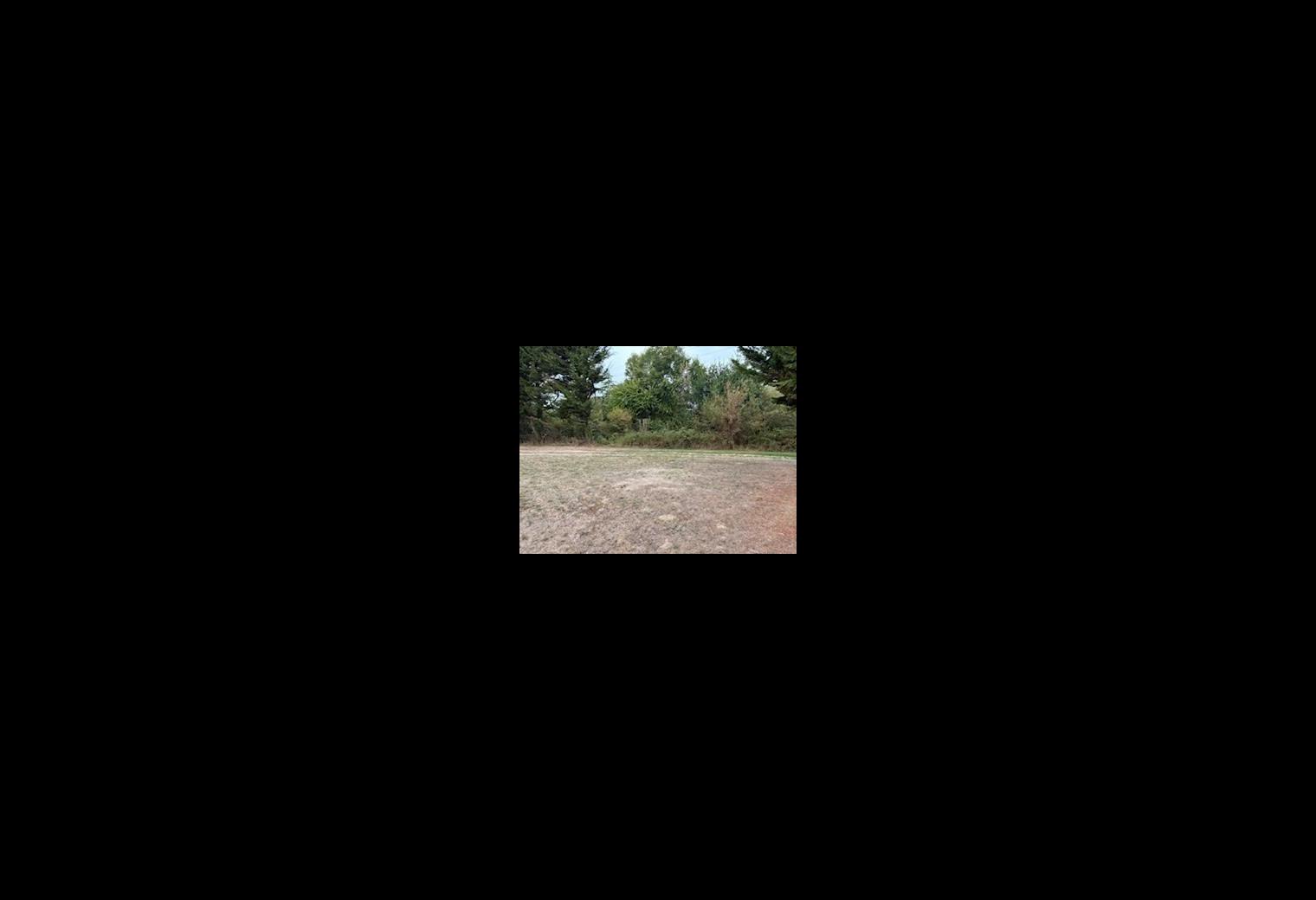 a9d41e0c-cb08-43c8-870a-98a99c646f55.jpg