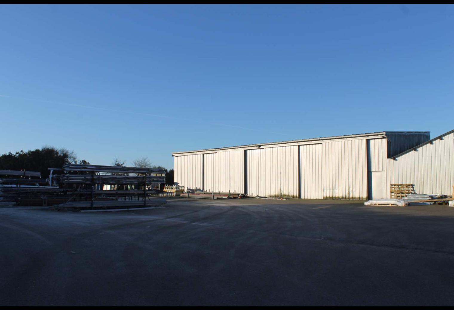 75fdac2d-9570-45a5-9968-28dba7ae6a76.jpg