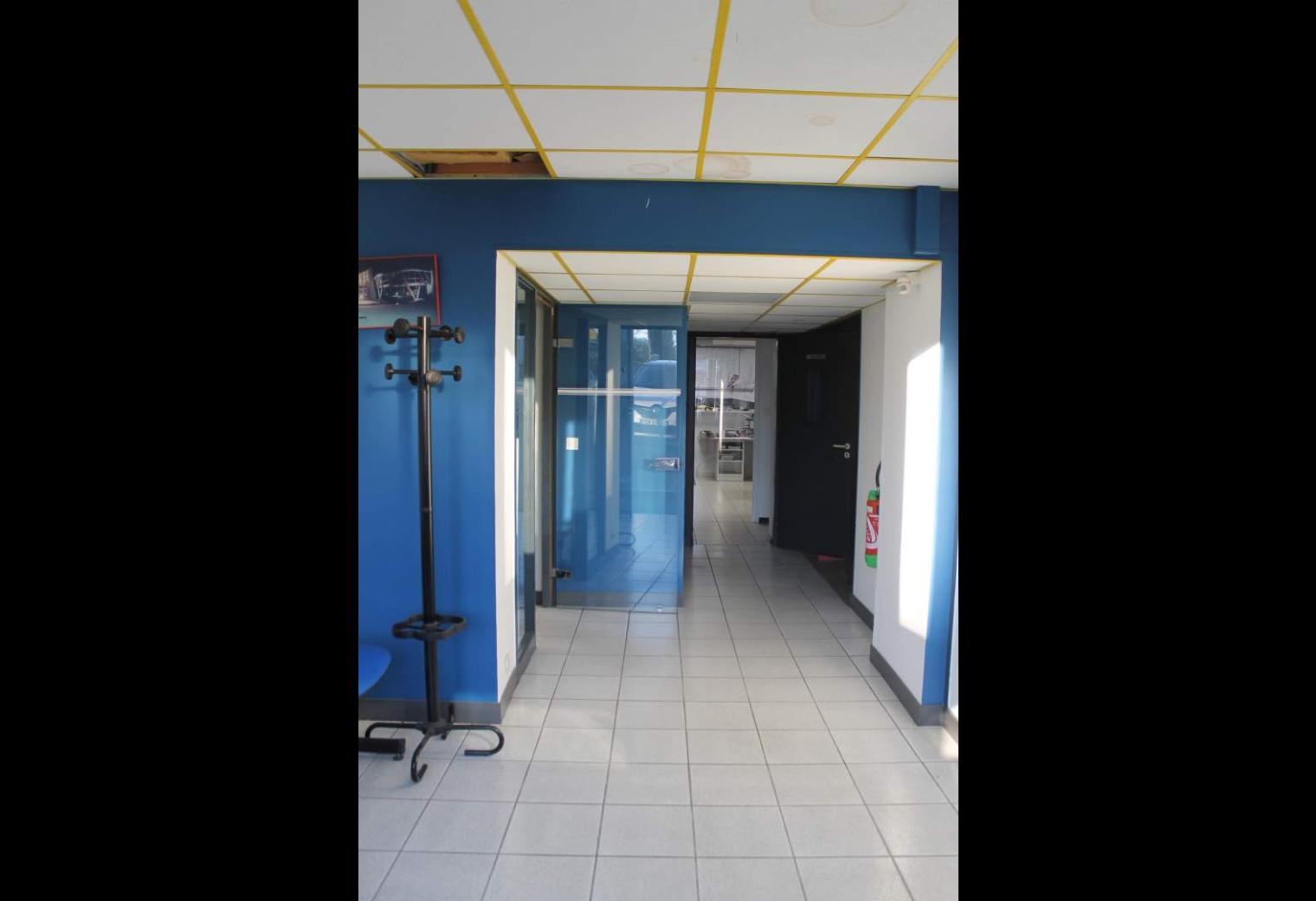 e9eae784-c35a-4458-bcaa-ec57884e66c1.jpg