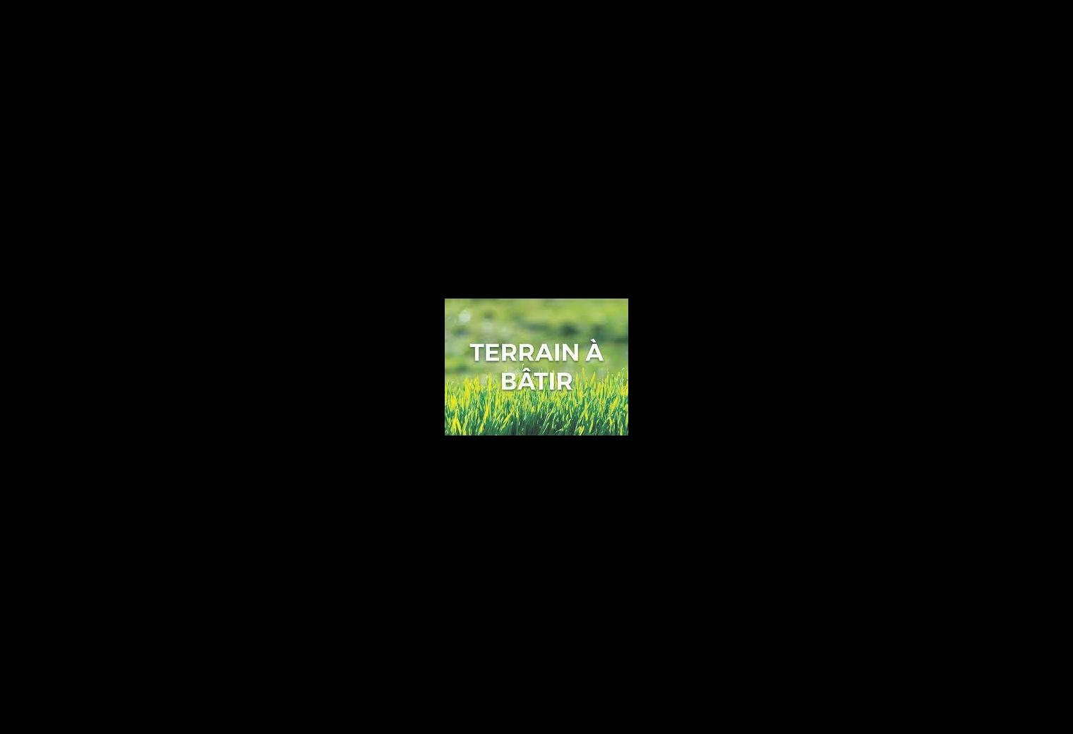 1f0d30cc-9863-4fff-be8d-eeca42a8a2cb.jpg