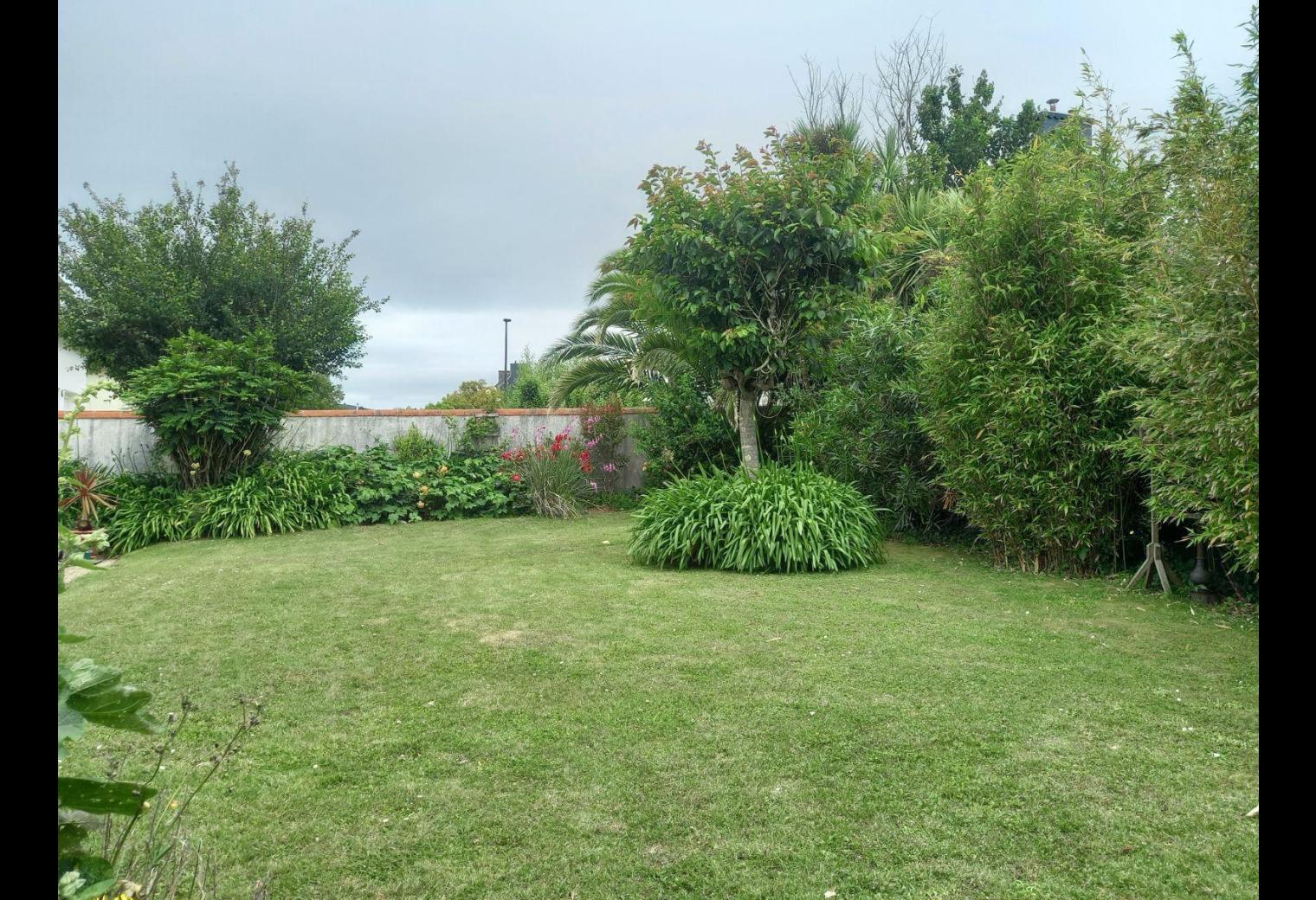 4dda5f50-229f-42bc-821f-da21488fff45.jpg