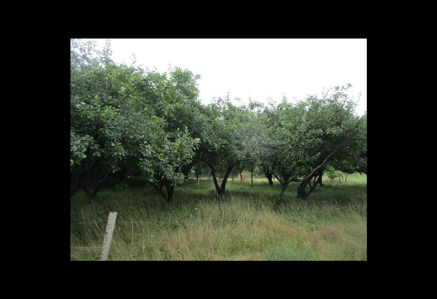 ea2ca841-29bf-435a-ba00-3089151b3be9.jpg