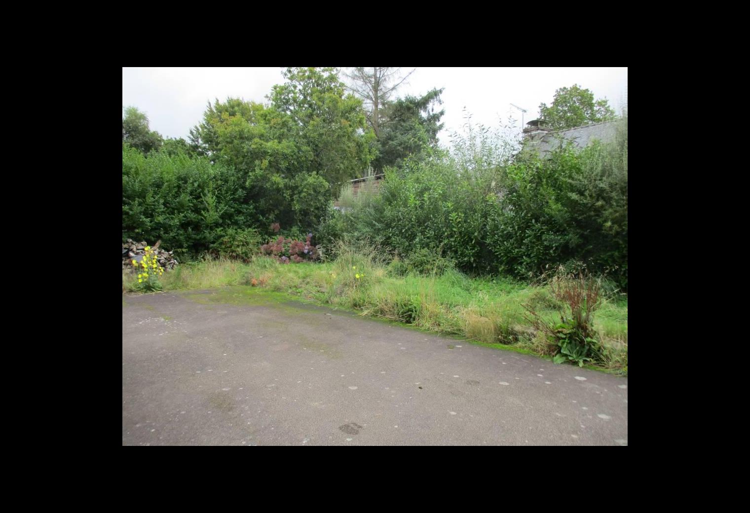 474d2813-dee4-4e41-89ee-d6e3628765e3.jpg