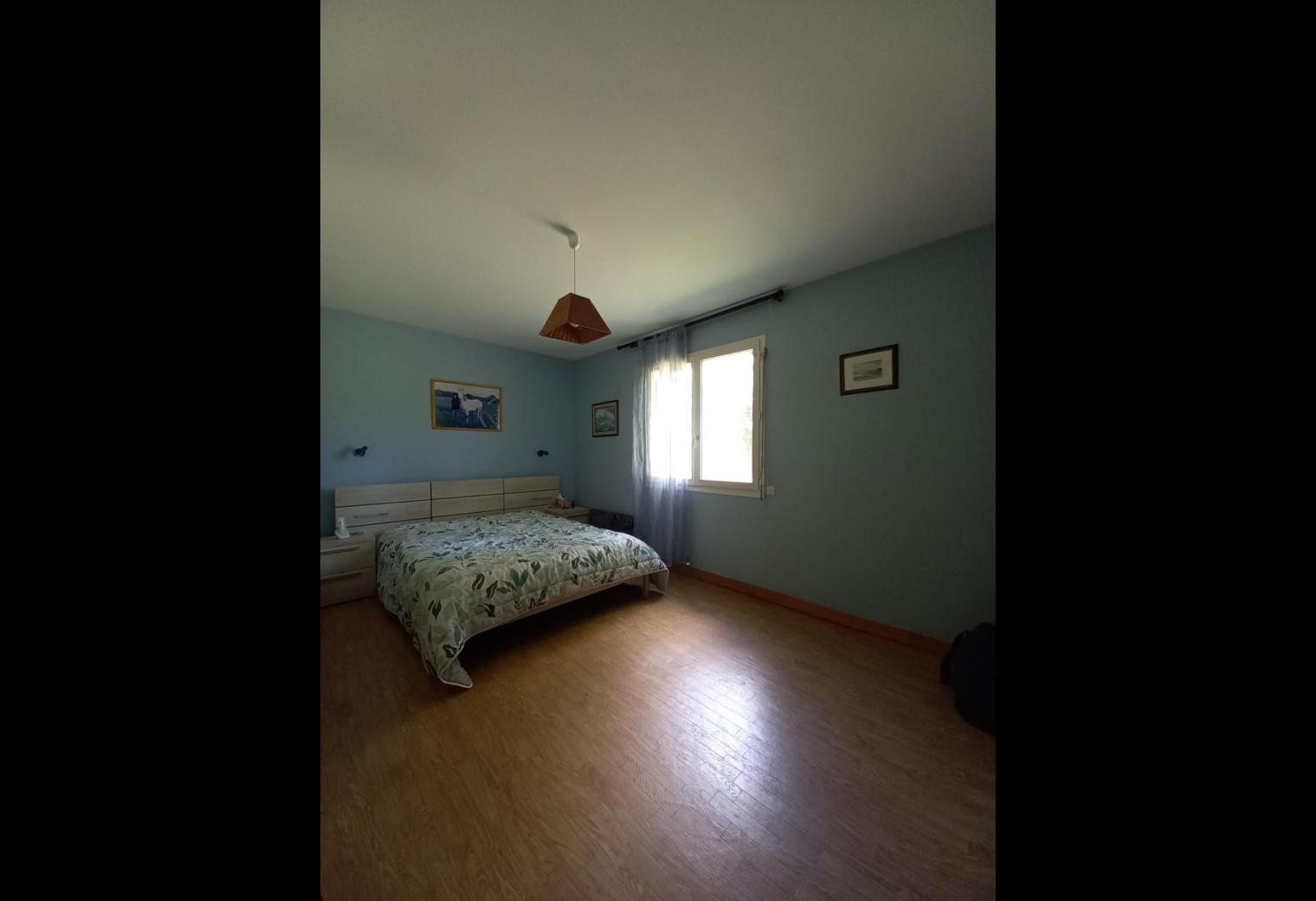 250e70b8-9d7b-4a56-a0ac-a839ed86e1ce.jpg