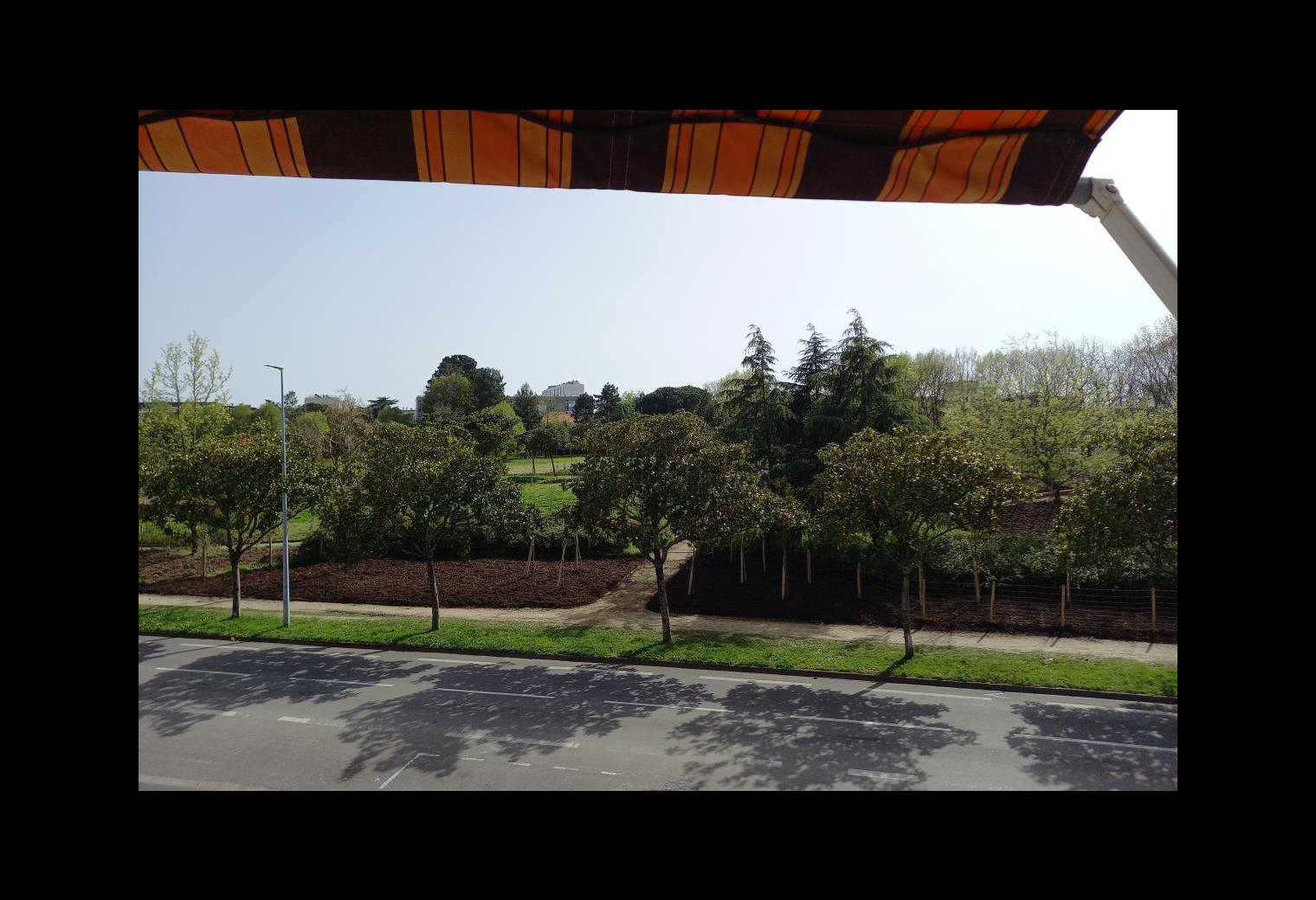 d578f73e-0f95-4d42-8724-7a48ecfaaba7.jpg