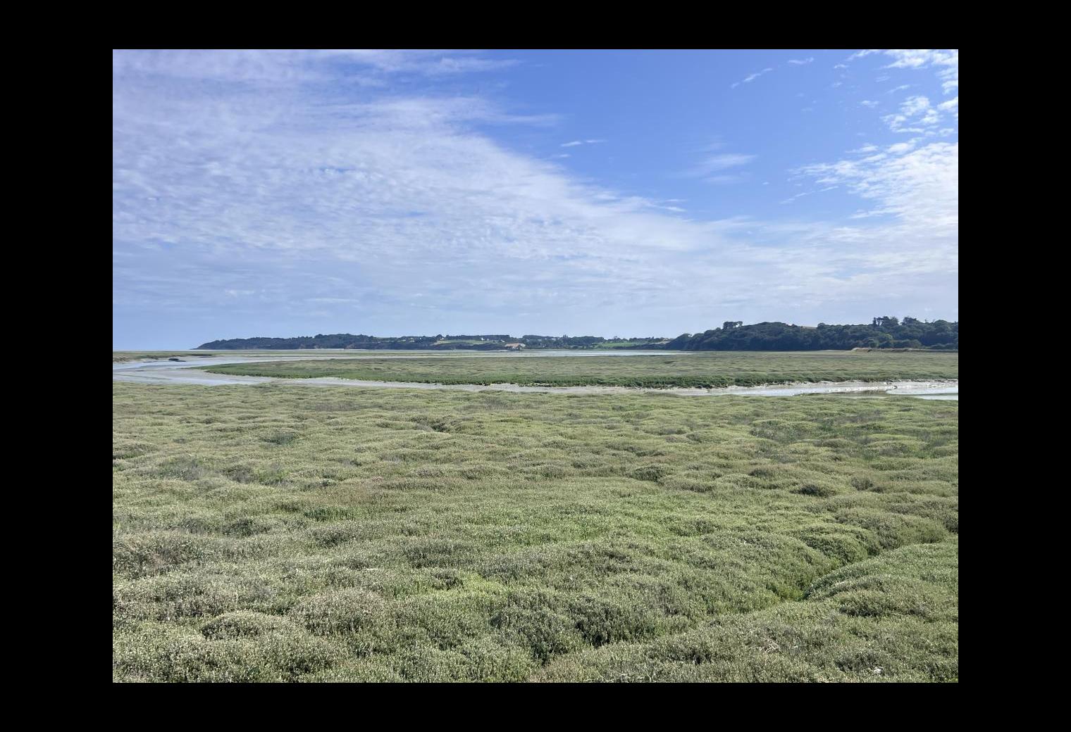 ea563c08-3278-45b3-9893-cb846e91b939.jpg