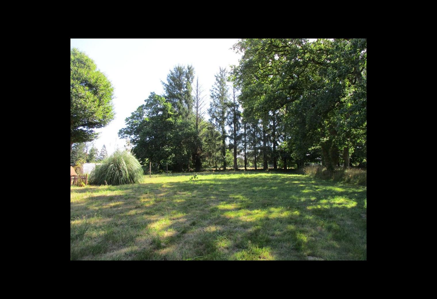 b0645edd-ce5e-4e93-9cbb-4de531a48756.jpg