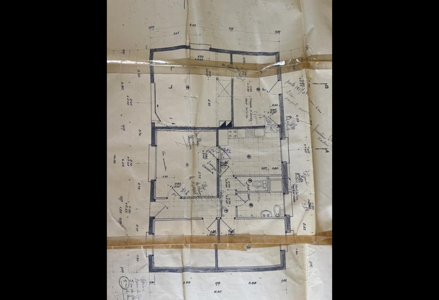 82e6d79a-f6eb-4ede-ae2f-acc5011162e2.jpg