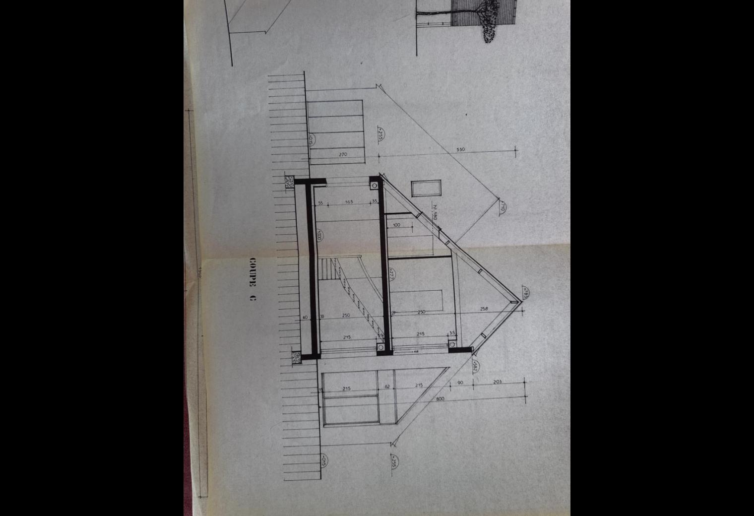7b01d54f-81e5-43aa-9794-cef6e27660bf.jpg