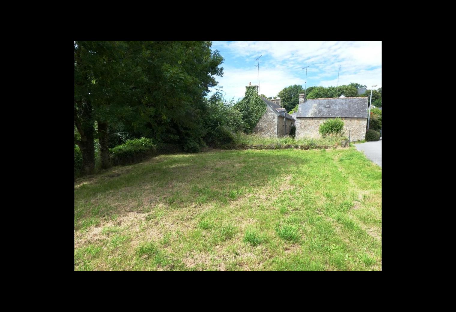 7499a95d-2cbe-486d-828d-00e3771993fd.jpg