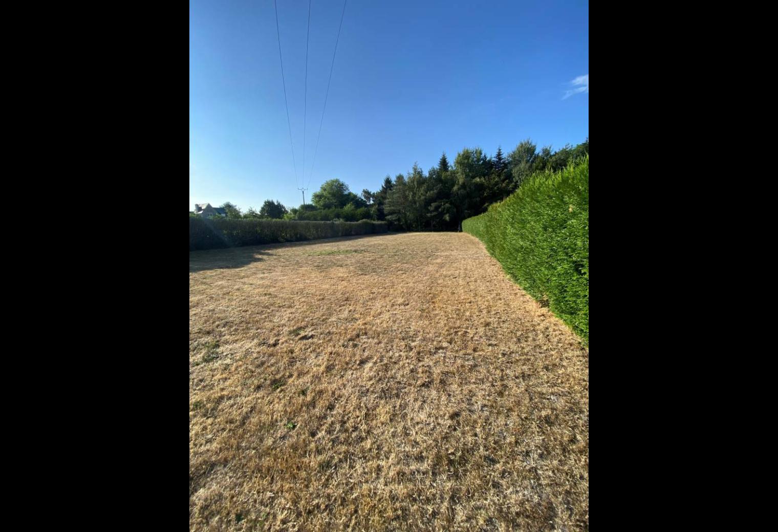 b4b73fcf-6bf6-41bd-92ef-12872862f4c0.jpg