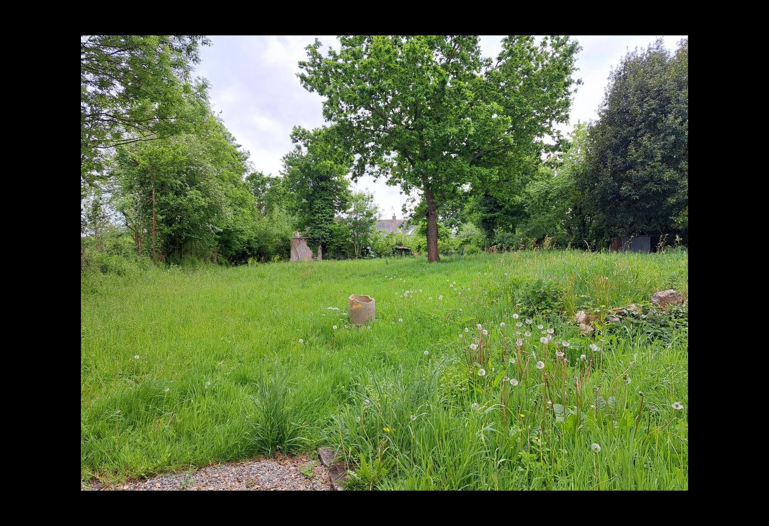 e5c3abd2-d7e2-46de-b2ca-ec14cd895f9c.jpg