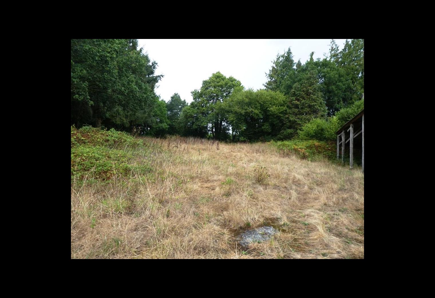 ecd0286d-e548-4d78-b114-00d73b760ad4.jpg
