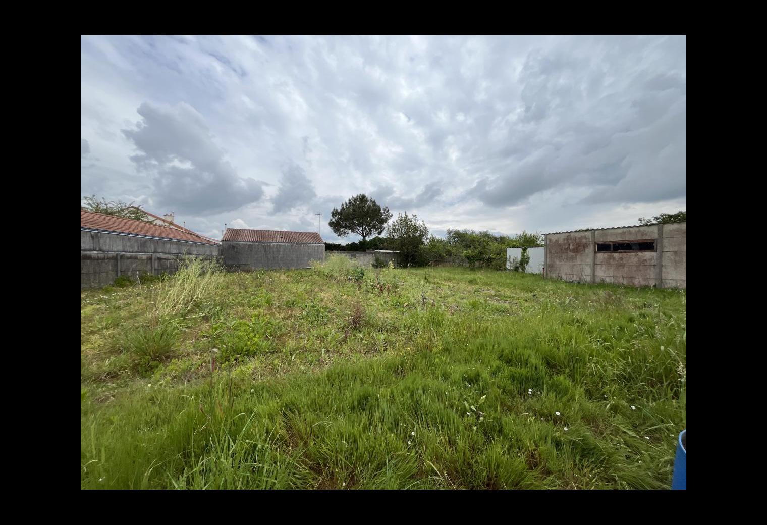 d897cac3-2cea-4eac-8381-d078f5f9bf2a.jpg