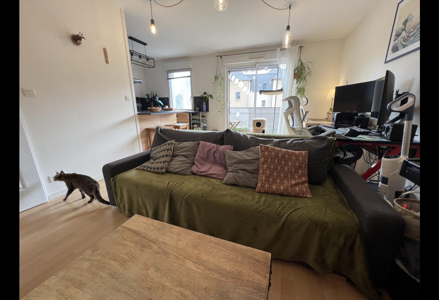 1d5a7d7e-2960-46a0-bc59-603abebc71e1.jpg