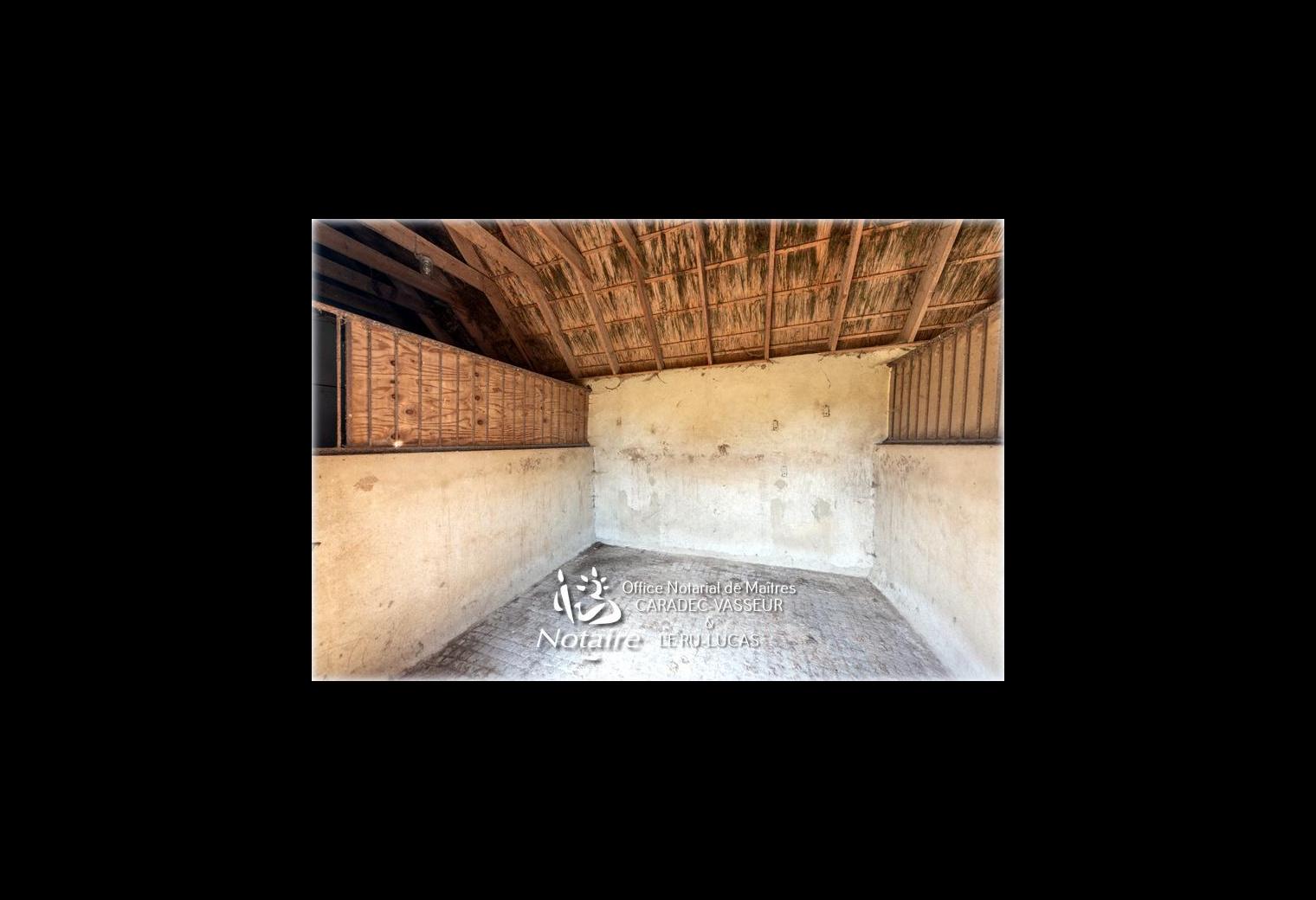 ba118378-40eb-4d30-8cd6-fd3be3ba1498.jpg