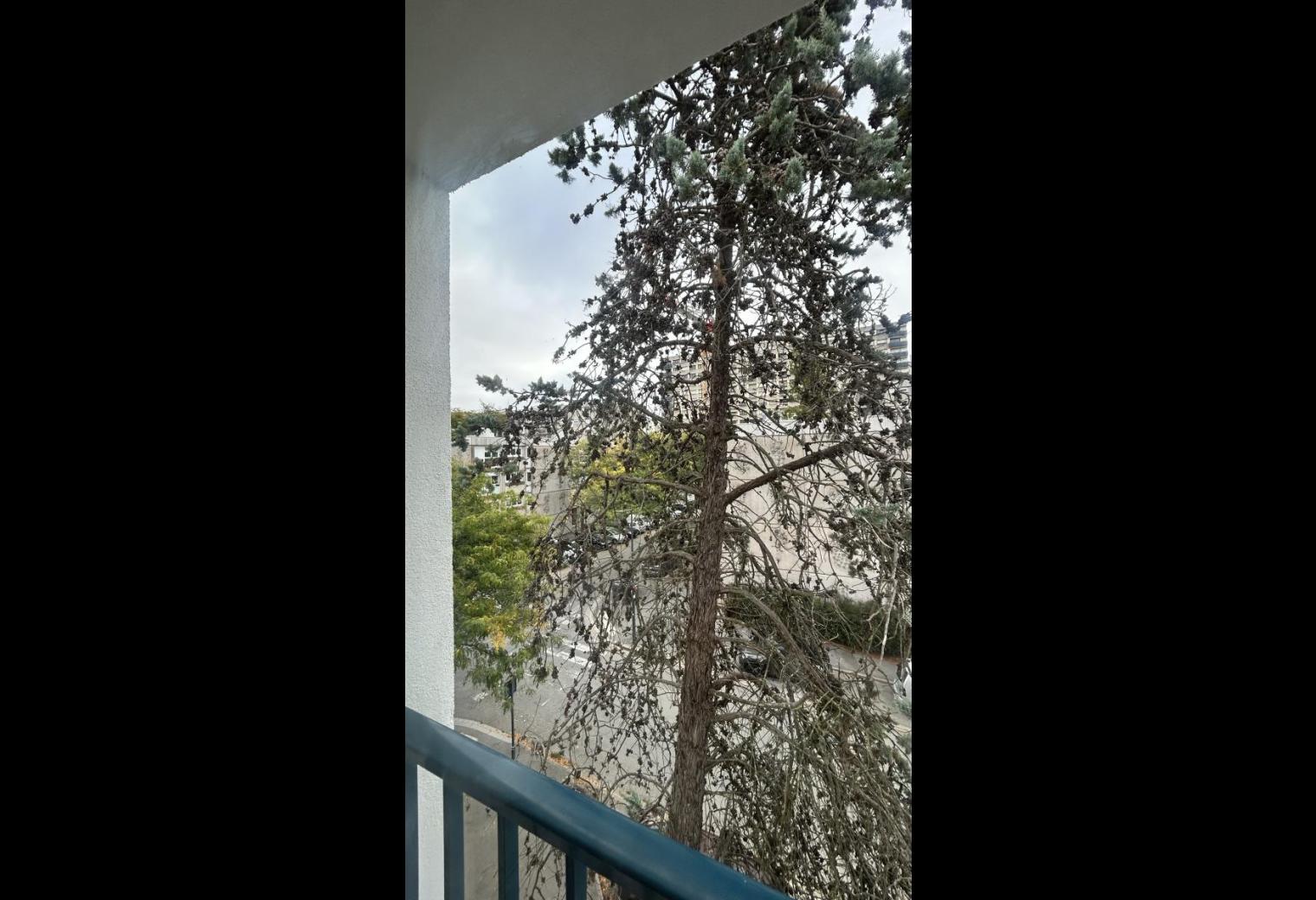 63029e7c-12fd-4bd2-aeb8-042047928bc5.jpg
