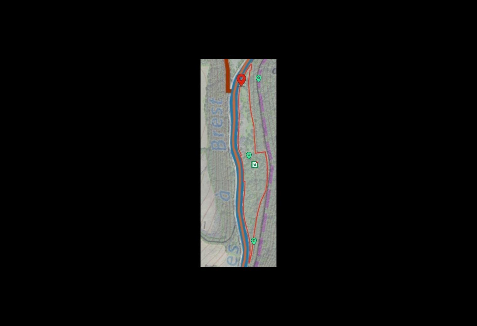 1eab1da2-12f4-4d7a-a3cf-e41a4670566c.jpg