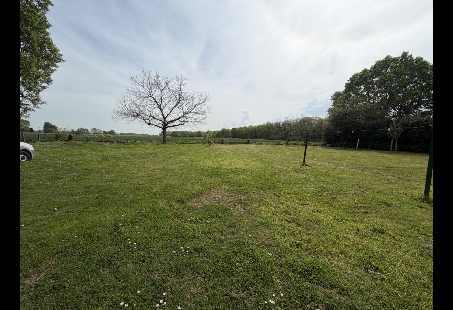 8ff5d377-e961-4d35-8f35-6f5de8b80ae7.jpg