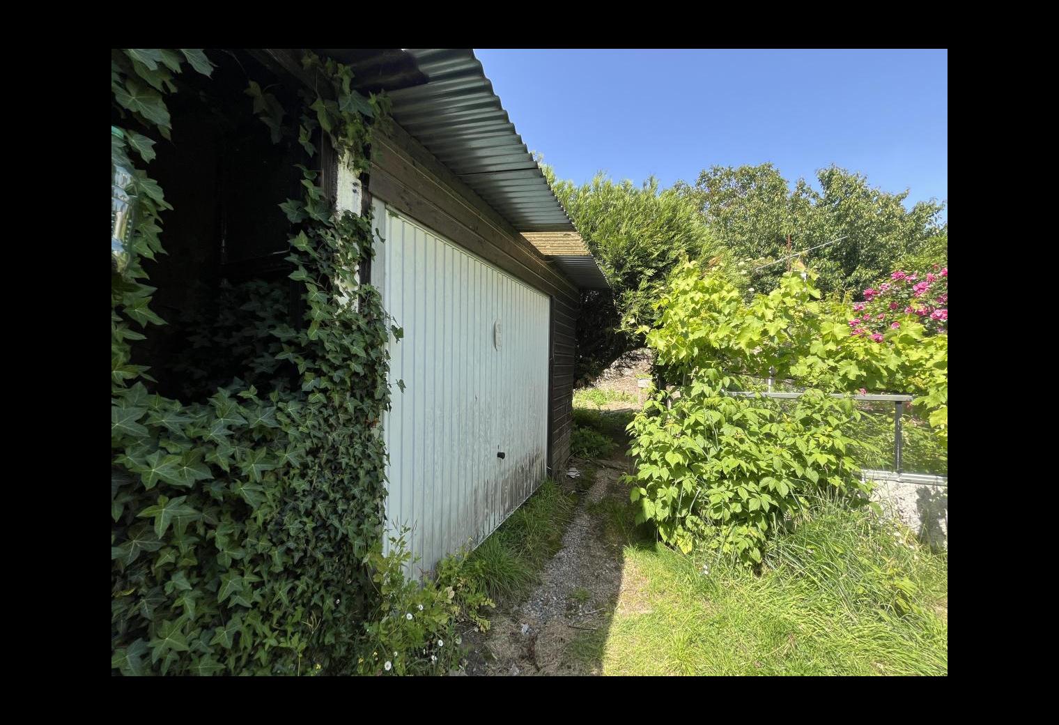 376cc4f4-d74f-4fd3-809b-1240a90405fa.jpg