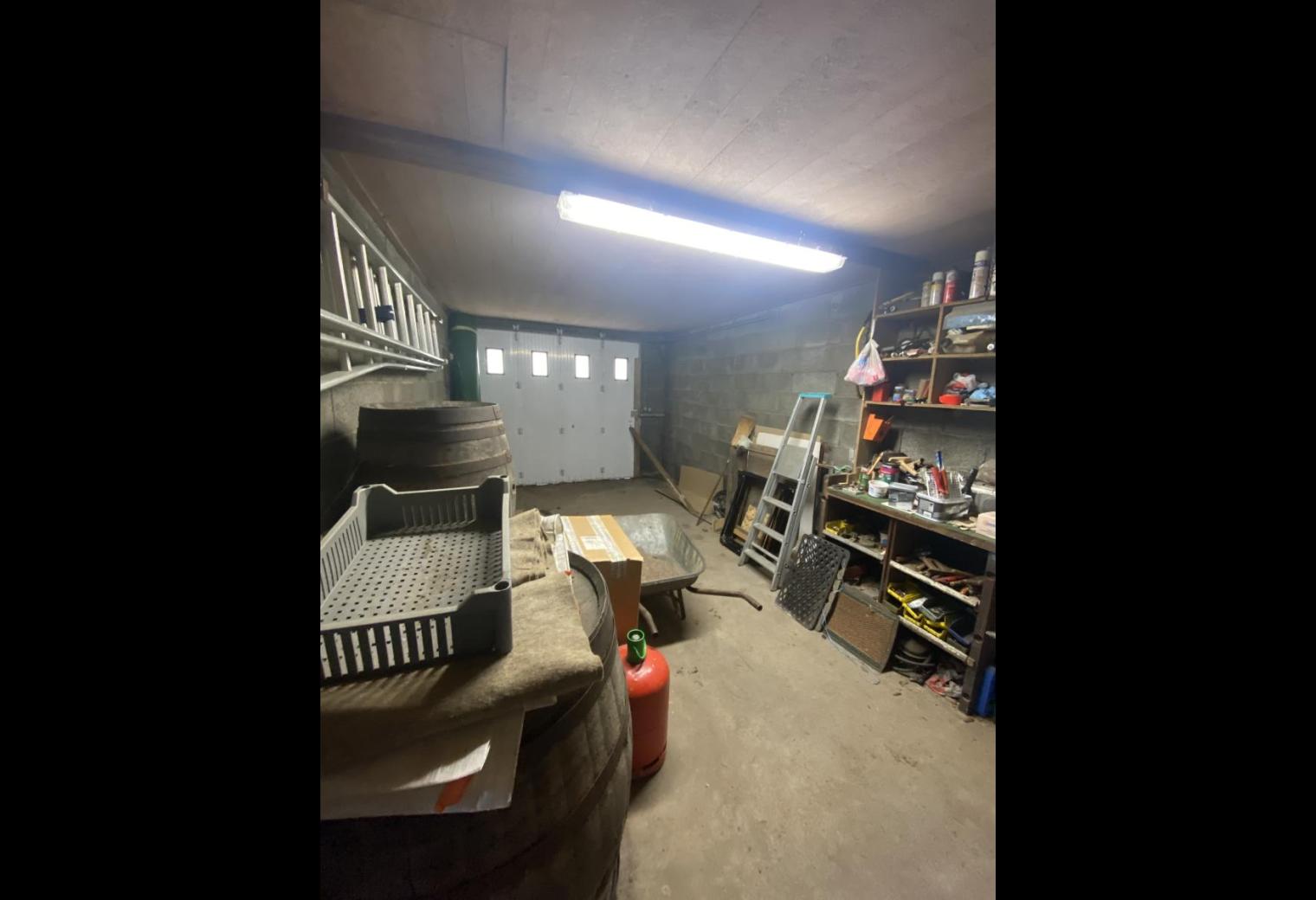 fde36ae2-6ce4-41c1-a2a3-31253bd33cb4.jpg