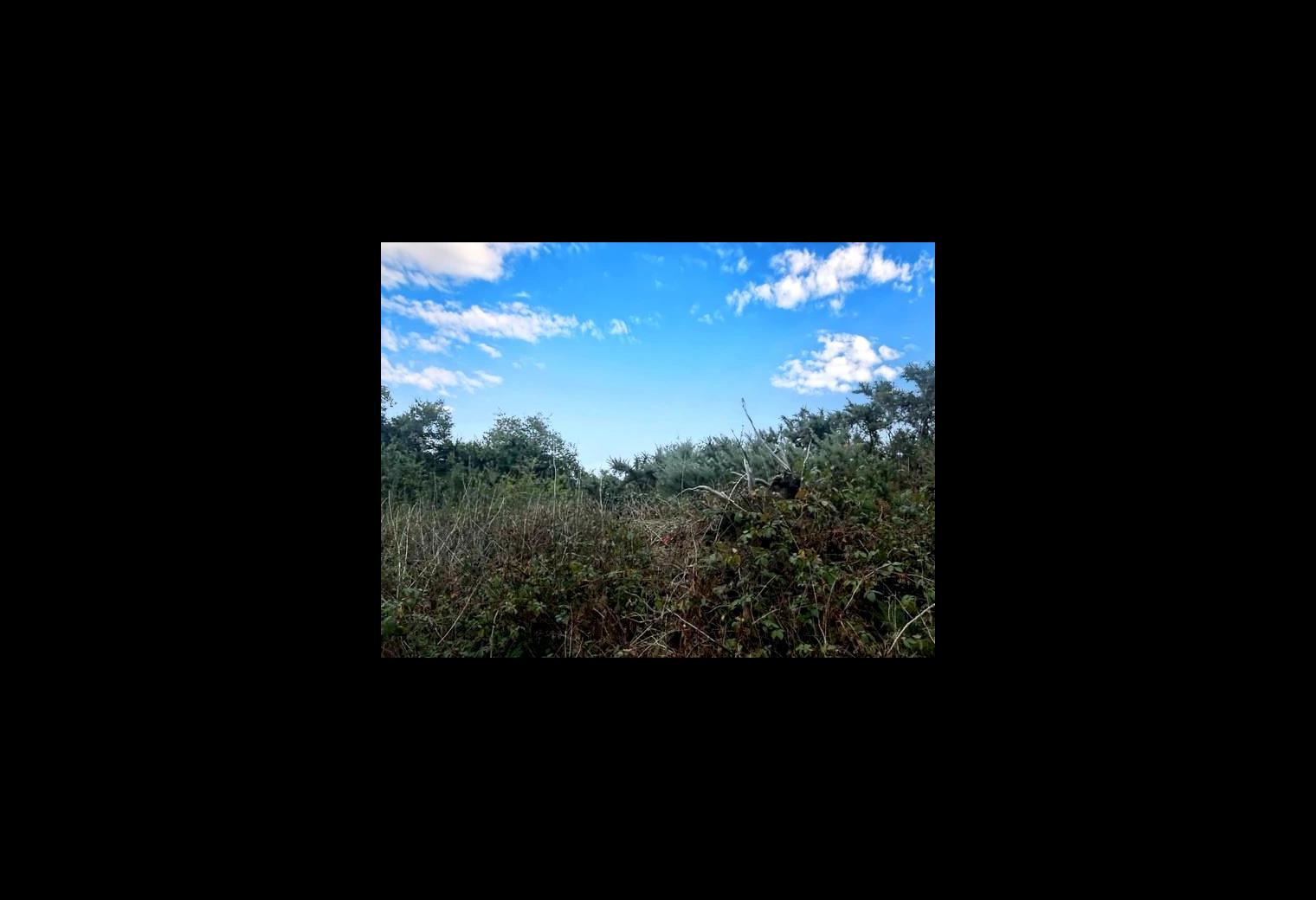3d73ac36-b75f-4bf6-ba6e-c2476e9d2a57.jpg