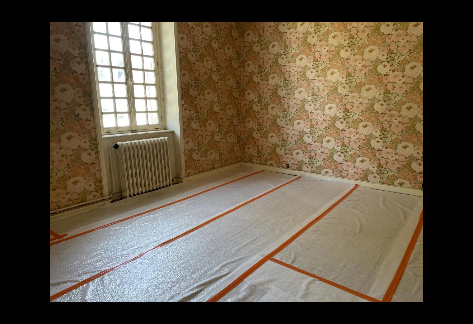 8ebed118-dbc8-4ce0-8aa6-ca0d7fe5ed56.jpg