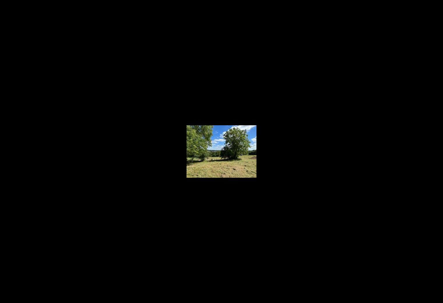 13f8a2be-0495-4374-ad6d-417c0074b40b.jpg
