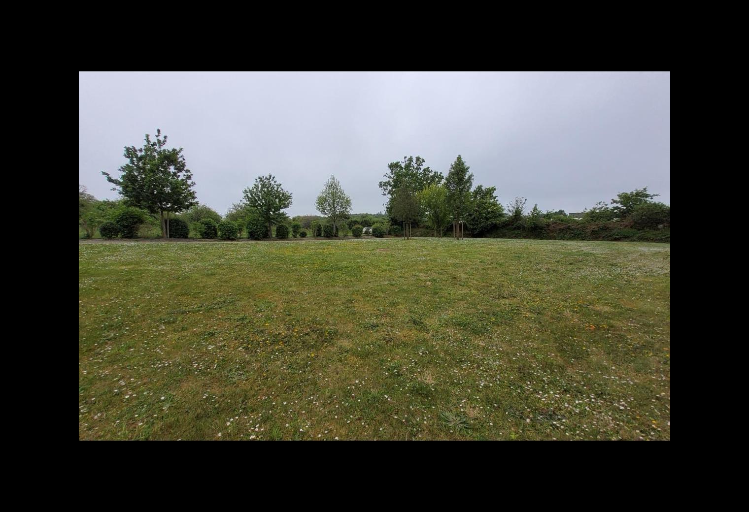 cc237085-6839-4d98-8677-9915b188536d.jpg