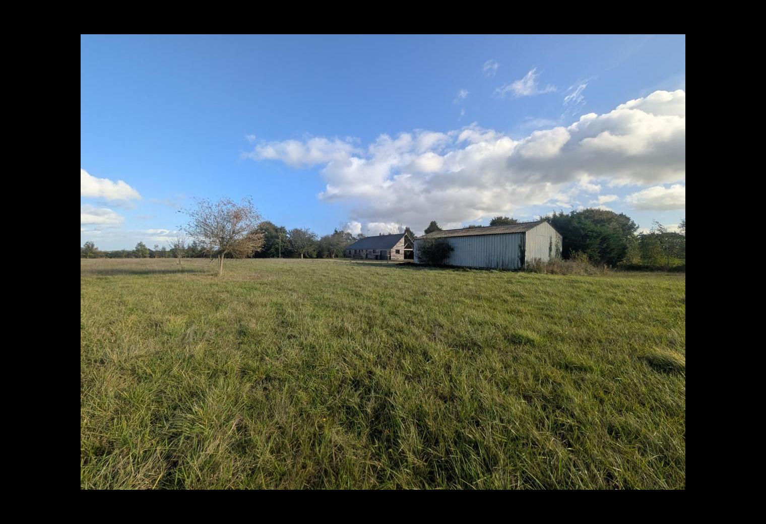 1795bcdf-af5d-4d80-b61f-dce95e671e72.jpg