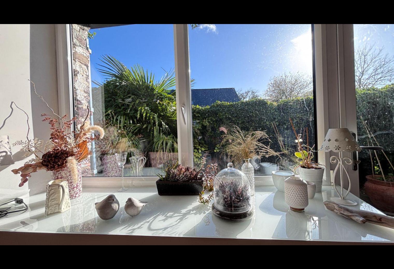 f7abef52-3022-42e3-9bc2-466b422fc071.jpg