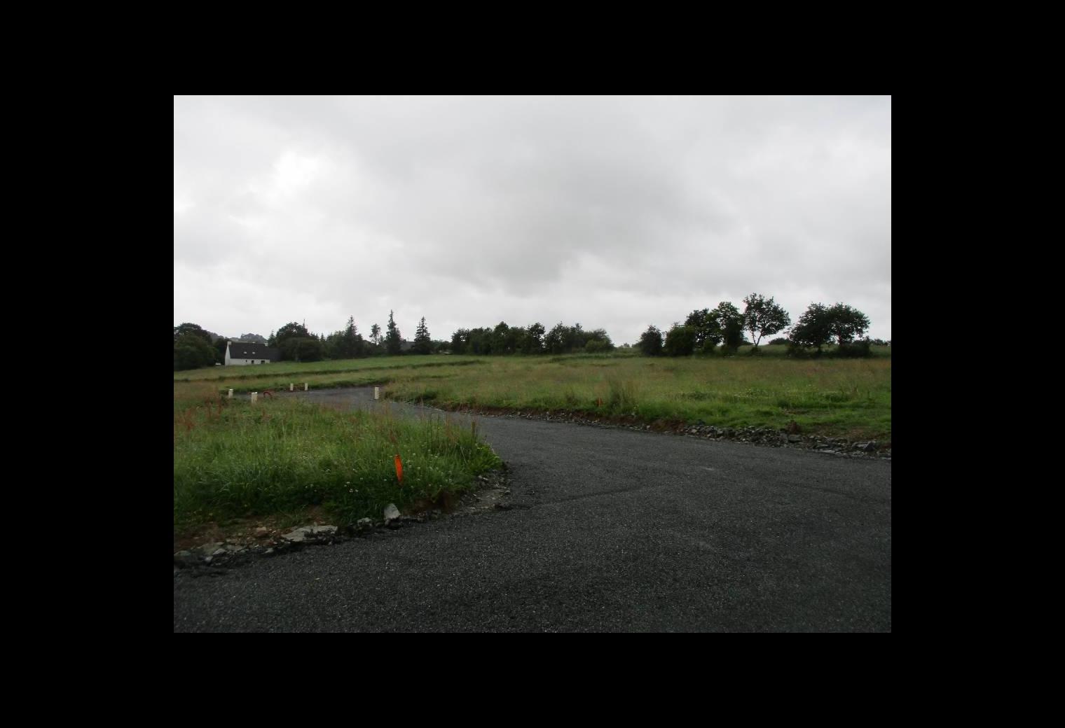 9c189213-eca4-48c1-ac5b-ab8e3c167eda.jpg