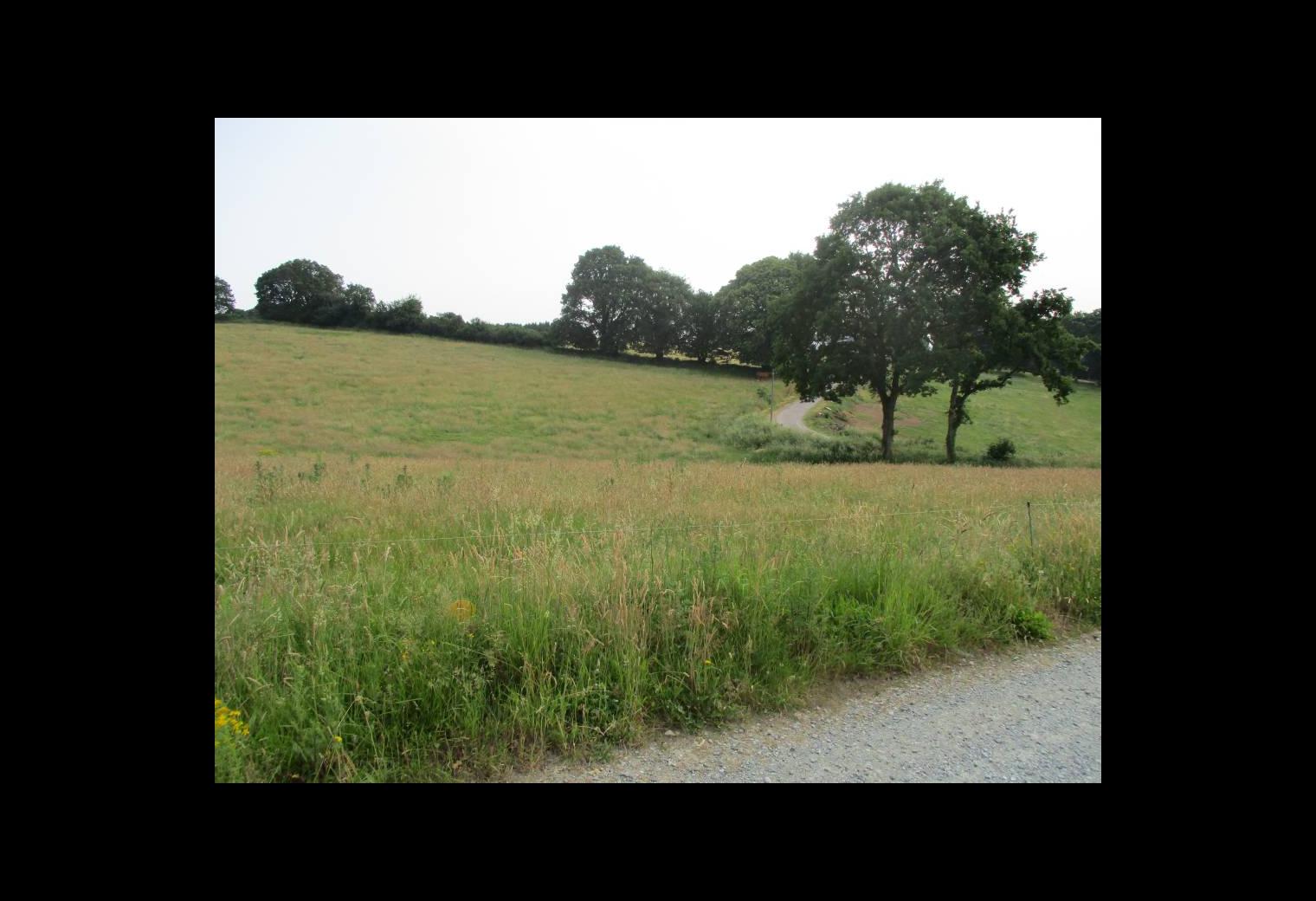 95439fa8-d3ab-4962-858a-25f07c9573fc.jpg