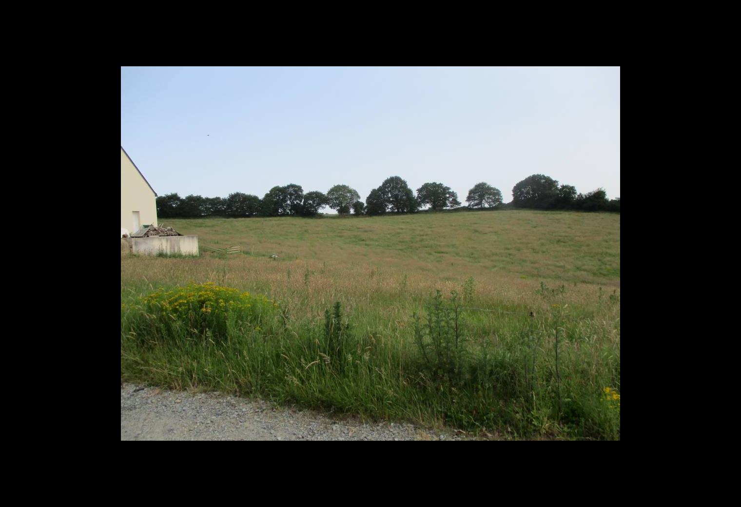 fa2310f2-28ae-4aa6-bfd6-7874f18bb5a0.jpg