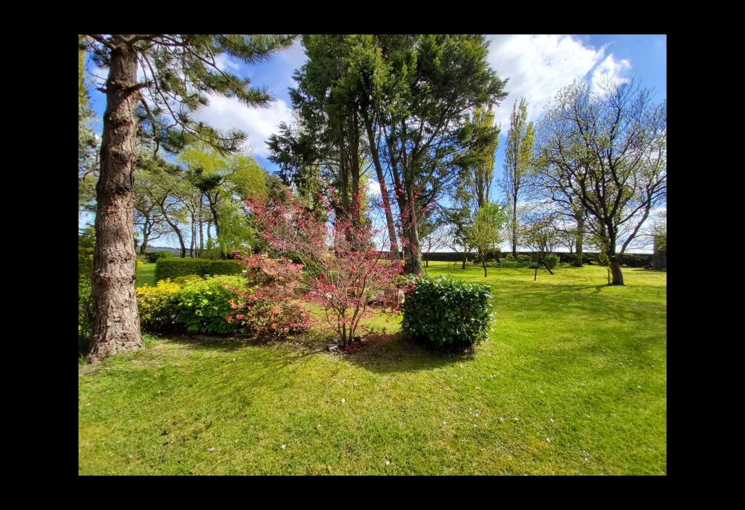 ad948b84-953b-48ad-9810-da5200afd61b.jpg