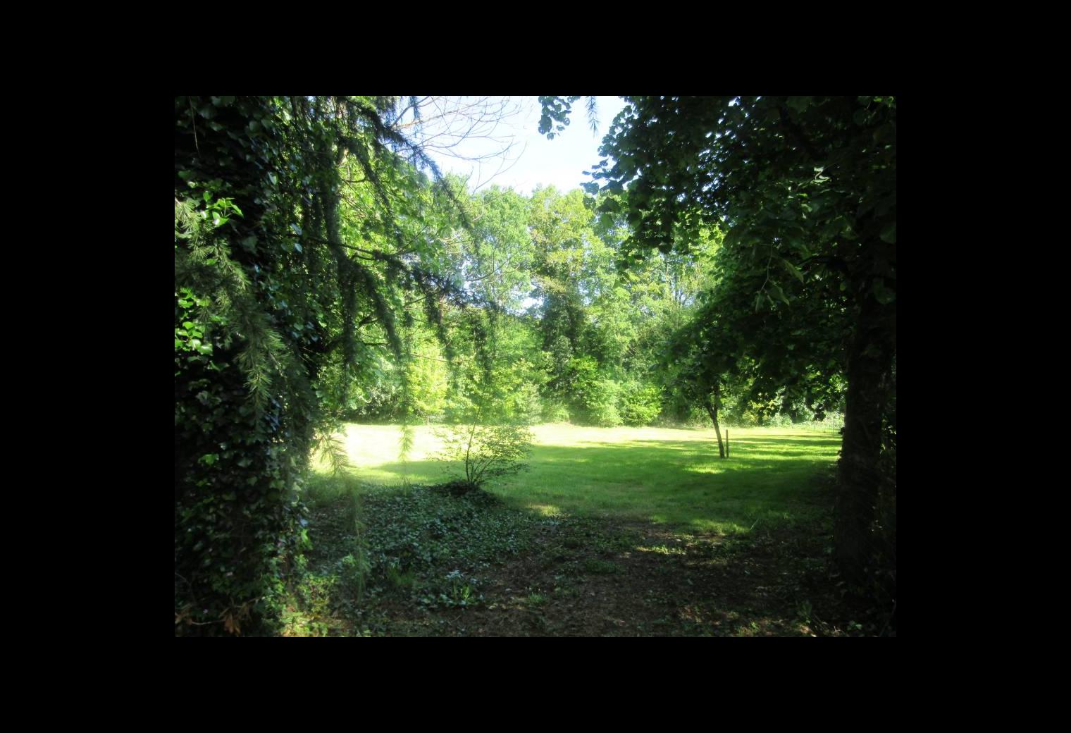 2f2ab75d-6173-43fd-b050-6bc8b7fd5abb.jpg