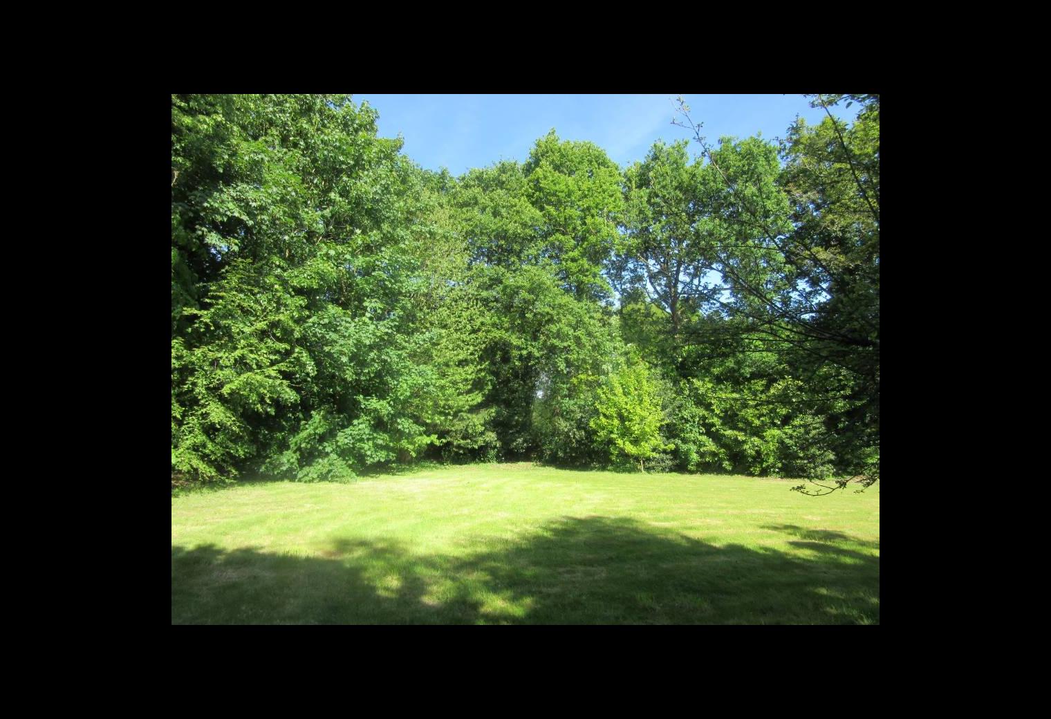 3f544213-1b35-4ed3-888c-9b64daa6f422.jpg