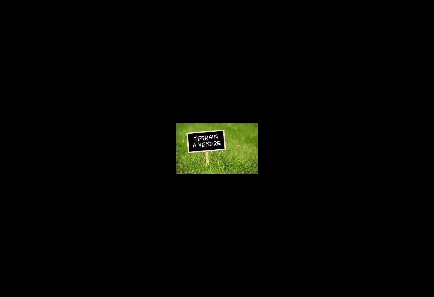f0e399a2-be10-4f9f-96af-0c82bc7468ce.jpg